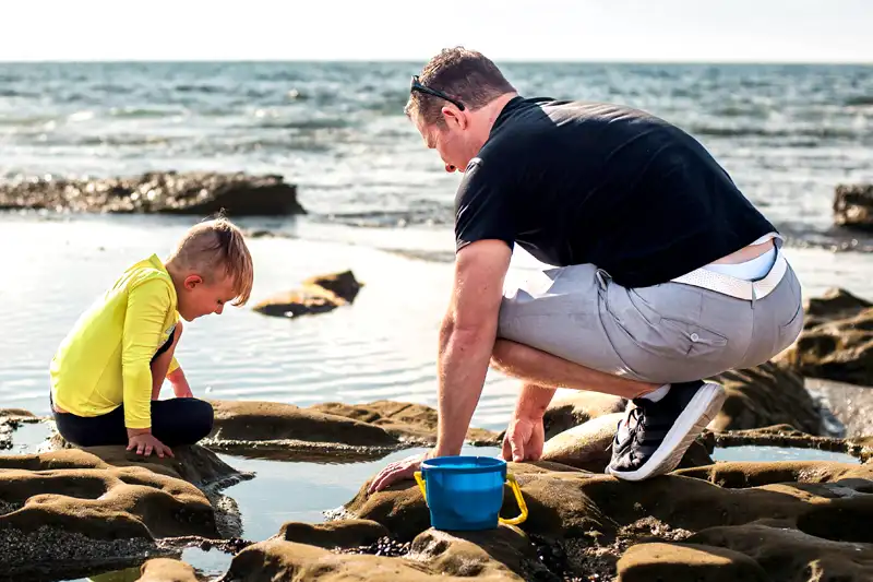 California Paternity Services San Diego Lawyer